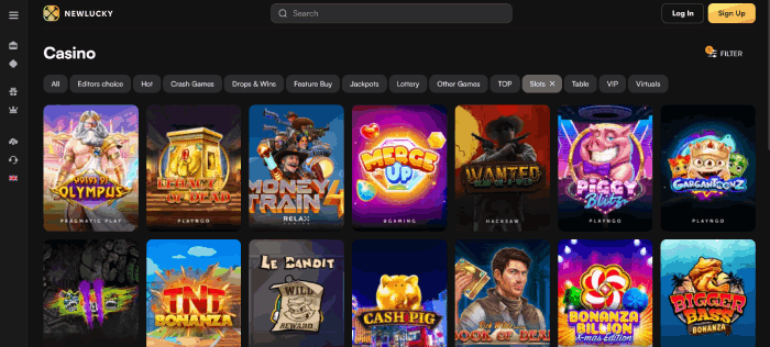 Newlucky Casino Review: €4000 + 350 Gratis Spins Welkomstbonus